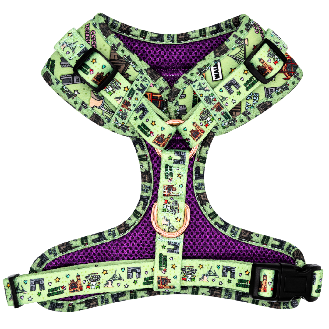 Derry GRRRL Adjustable Dog Harness