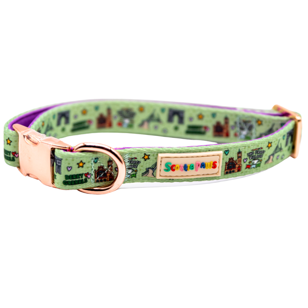 Derry GRRRL Dog Collar