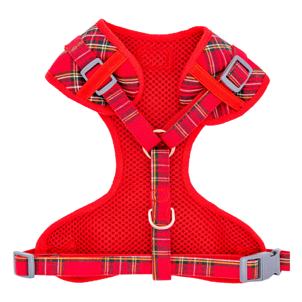 Ruby Red Adjustable Dog Harness