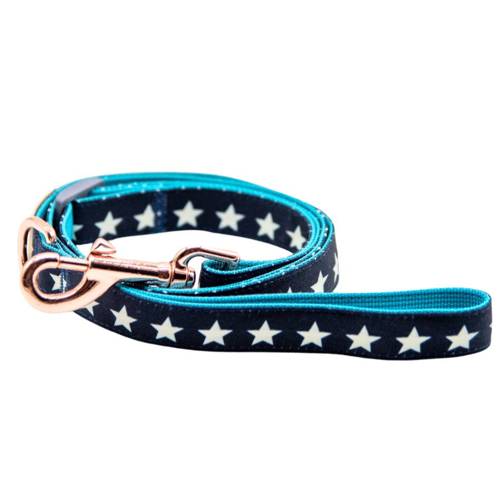 Shining Stars Dog Lead