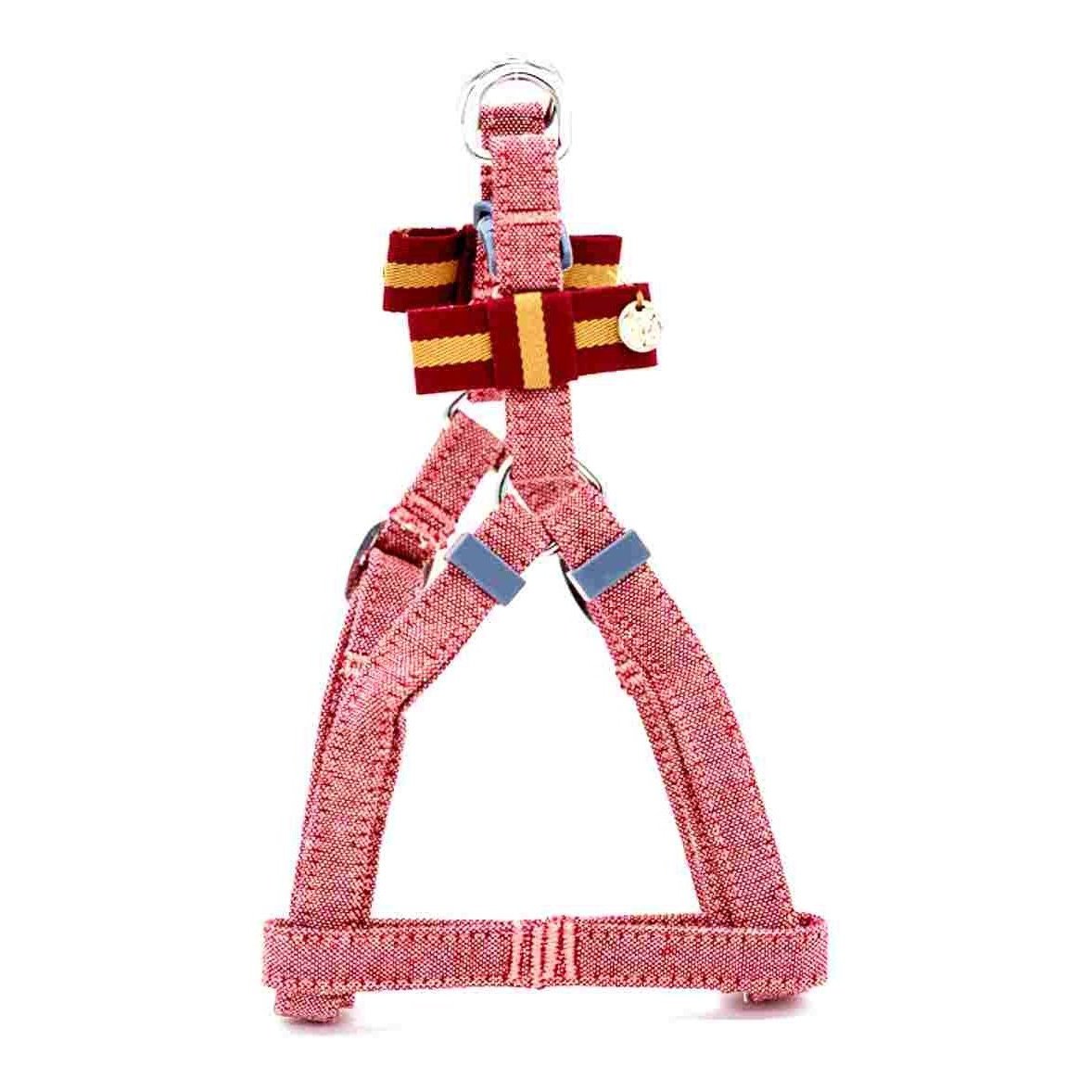 Denim Red Harness and Lead Set