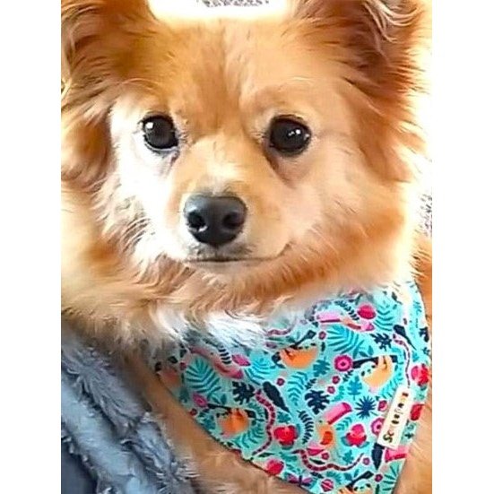 Animal Jungle Dog Bandana