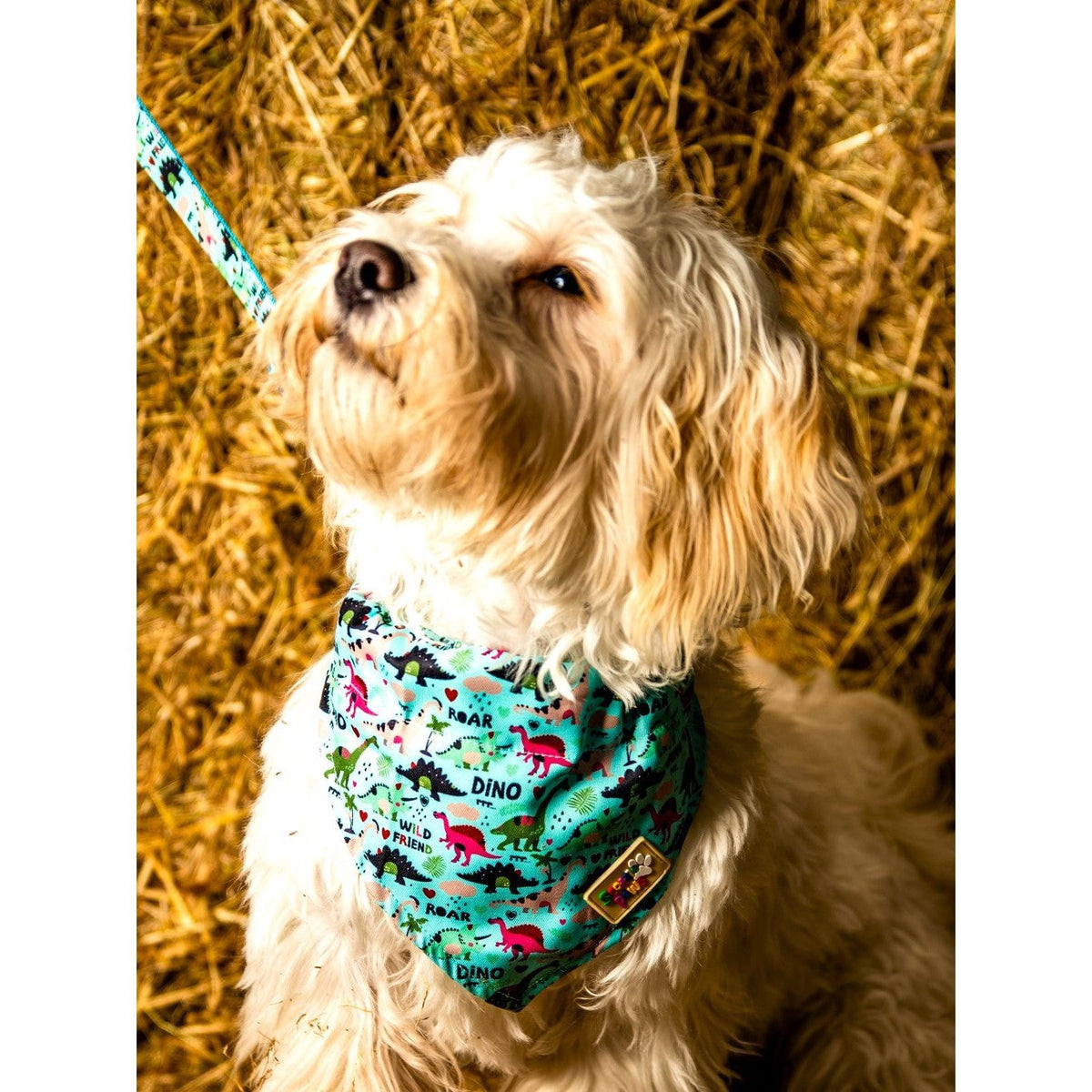 Dinosaur Day Dog Bandana