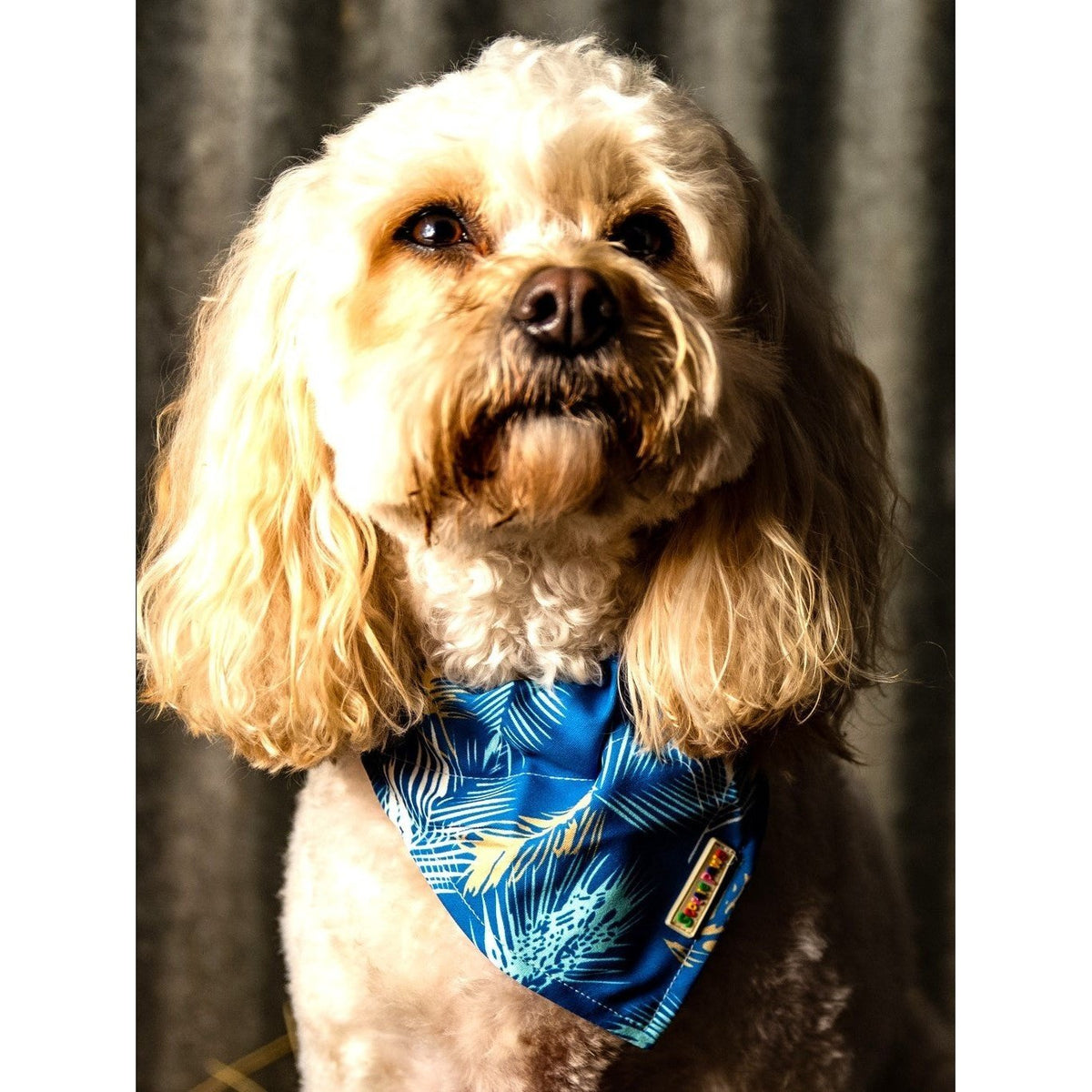 Morning Feathers Dog Bandana