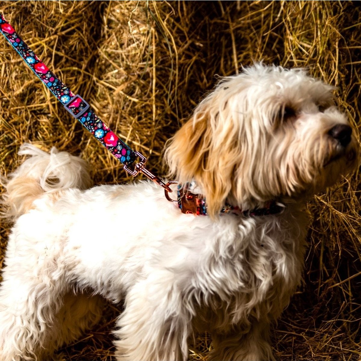 Pretty Floral Dog Lead