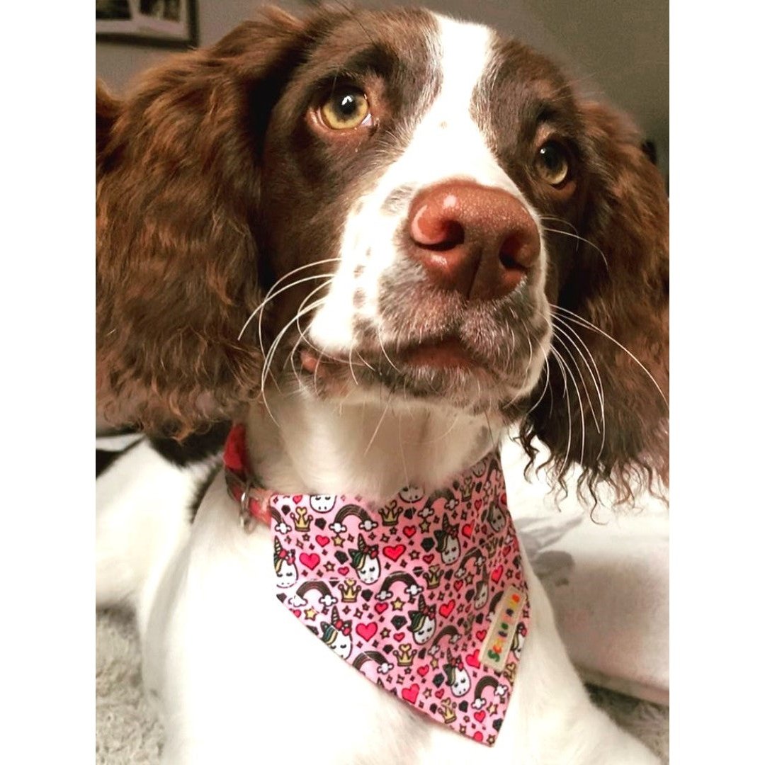 Pretty In Pink Dog Bandana