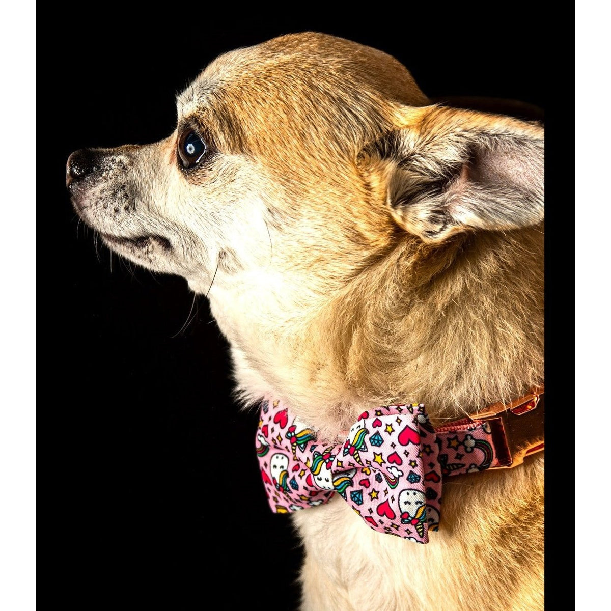 Pretty In Pink Dog Bow
