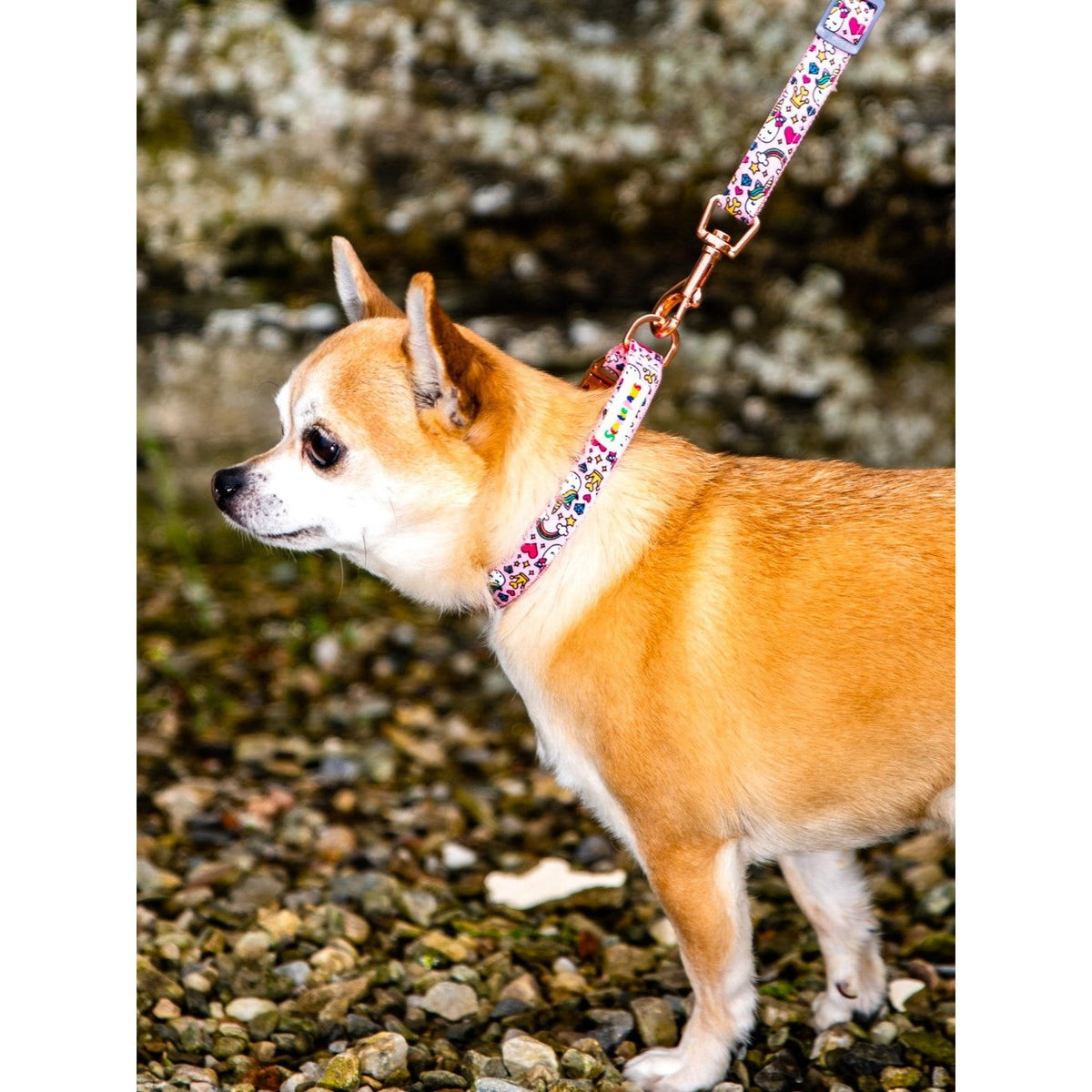 Pretty In Pink Dog Lead