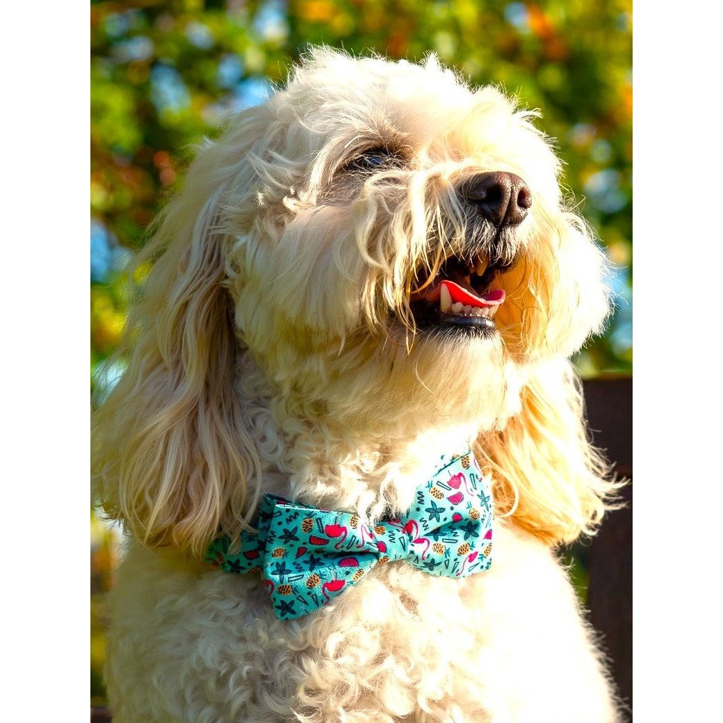 Tropical Vibes Dog Bow