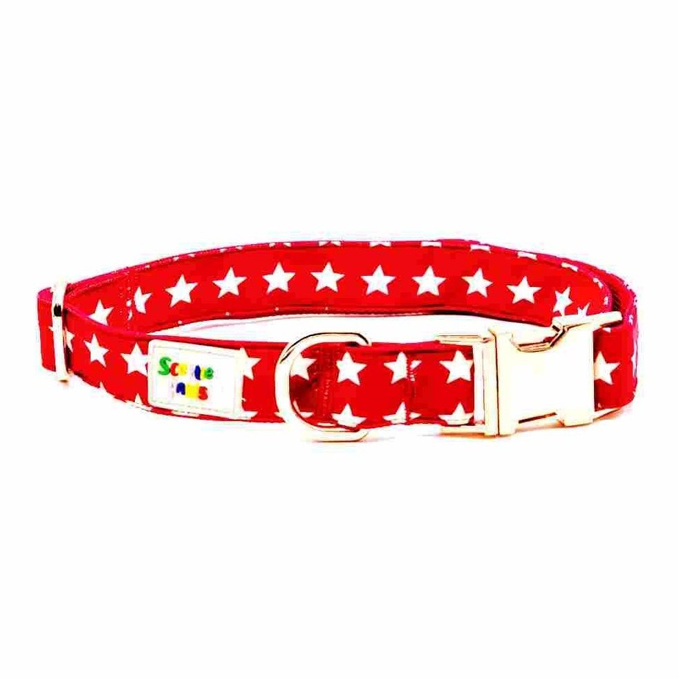 Star Bright Dog Collar